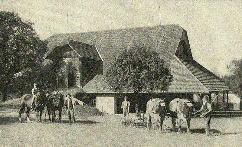 Landwirtschaft